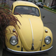 Illustration for article titled 1964 Volkswagen Type 1